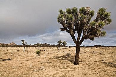 前《质量效应》主创新作《Exodus》深受《星战》启发