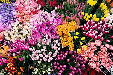 动物囚犯如何逃出生天？《动物迷城》限时试玩版现已上线