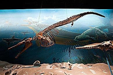 《弗兰克·斯通的阴影》IGN 5分 二流互动杀人游戏